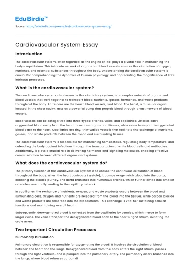 Cardiovascular System Essay