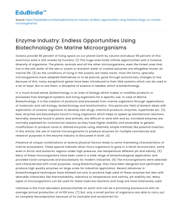 Enzyme Industry: Biotech on Marine Microorganisms