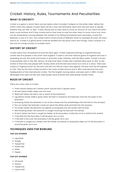 Cricket: History, Rules, Tournaments And Peculiarities