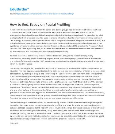 How to End: Essay on Racial Profiling