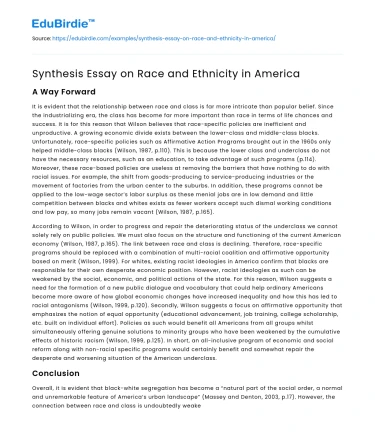 Synthesis Essay on Race and Ethnicity in America