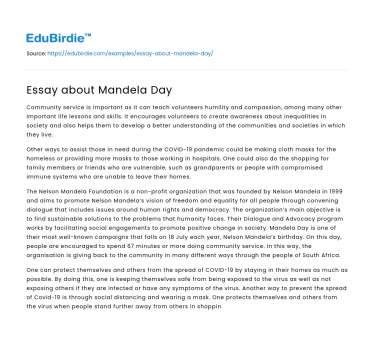 Essay about Mandela Day