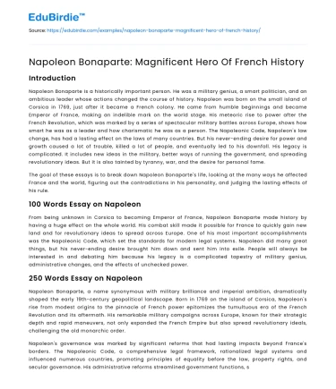 Napoleon Bonaparte: Magnificent Hero Of French History