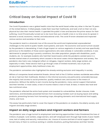 Critical Essay on Social Impact of Covid 19