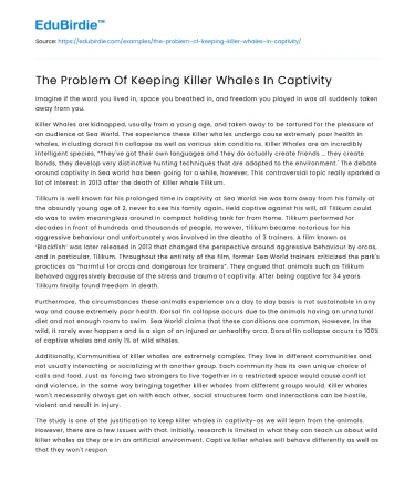 The Problem Of Keeping Killer Whales In Captivity