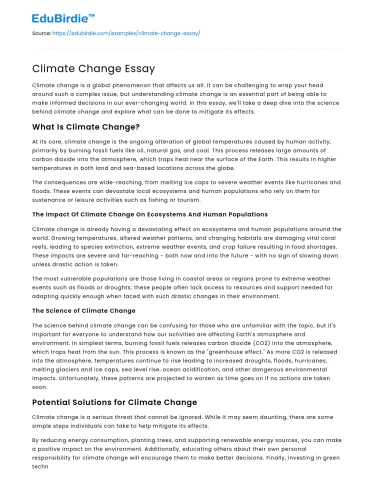 Climate Change Essay