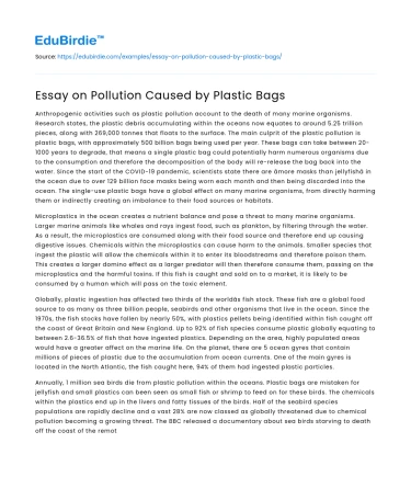 Essay on Pollution Caused by Plastic Bags