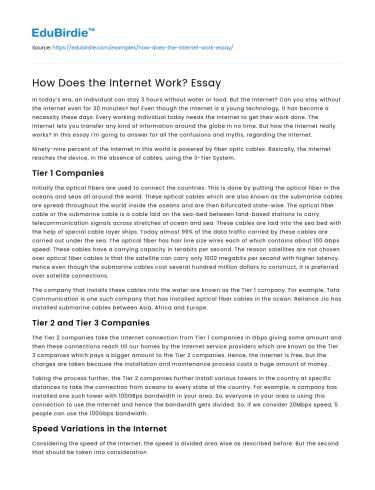How Does the Internet Work? Essay