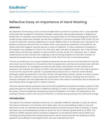 Reflective Essay on Importance of Hand Washing