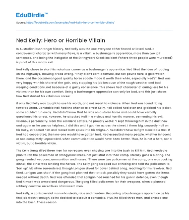 Ned Kelly: Hero or Horrible Villain