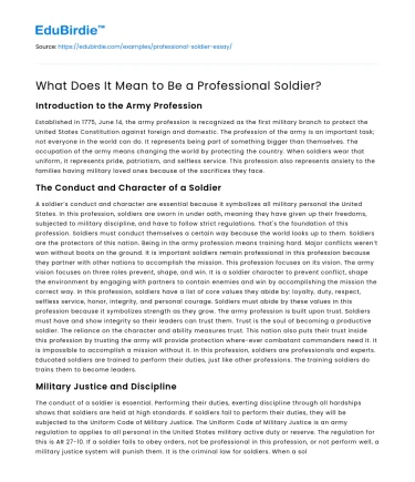 What Does It Mean to Be a Professional Soldier?
