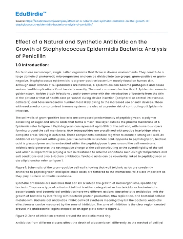 Effect of Antibiotics on Staphylococcus Growth: Penicillin Analysis