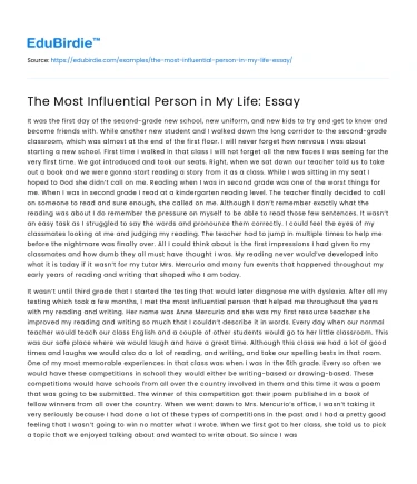 The Most Influential Person in My Life: Essay