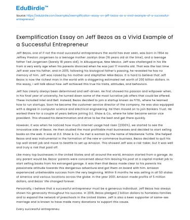 Jeff Bezos as a Vivid Example of a Successful Entrepreneur