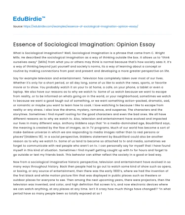 Essence of Sociological Imagination: Opinion Essay