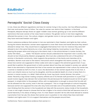 Persepolis’ Social Class Essay