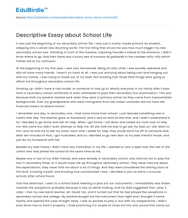 Descriptive Essay about School Life