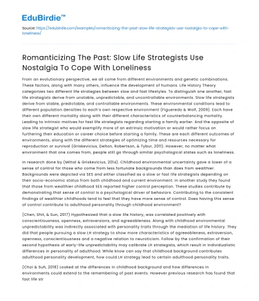 Coping with loneliness through nostalgia & slow life strategies