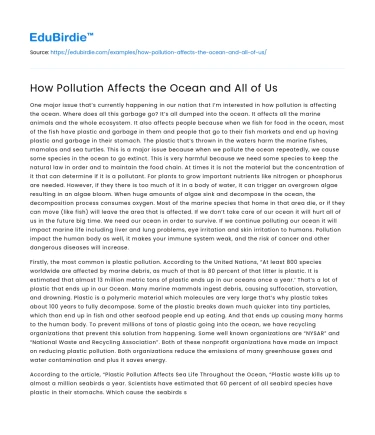 How Pollution Affects the Ocean and All of Us