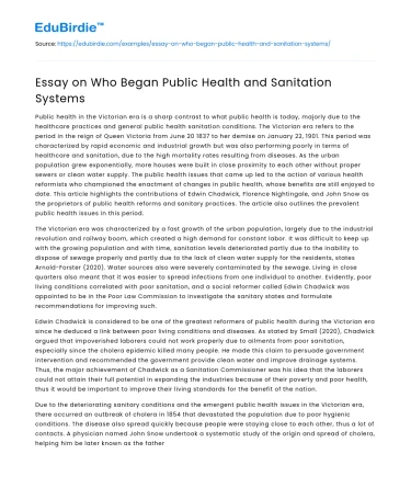 Essay on Who Began Public Health and Sanitation Systems