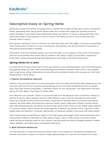 Descriptive Essay on Spring Herbs