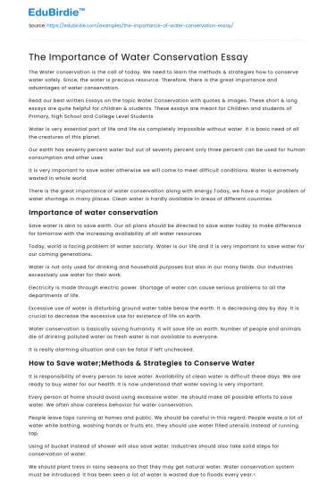 The Importance of Water Conservation Essay