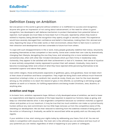 Definition Essay on Ambition