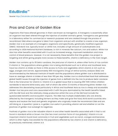 Pros and Cons of Golden Rice