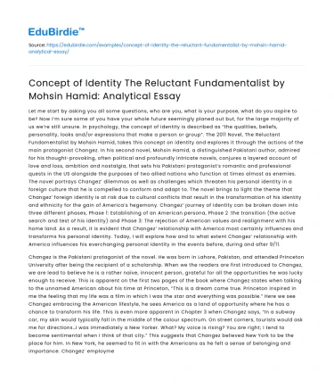 Identity in The Reluctant Fundamentalist