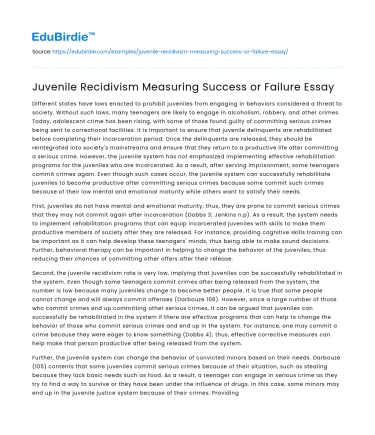 Juvenile Recidivism Measuring Success or Failure Essay