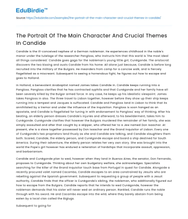 The Portrait Of The Main Character And Crucial Themes In Candide