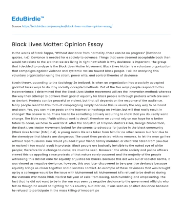 Black Lives Matter: Opinion Essay