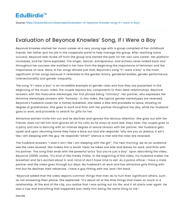 Evaluation of Beyonce Knowles’ Song, if I Were a Boy