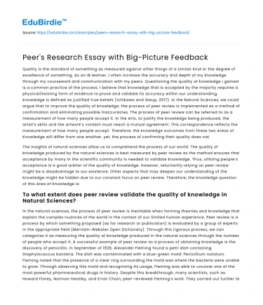Peer’s Research Essay with Big-Picture Feedback