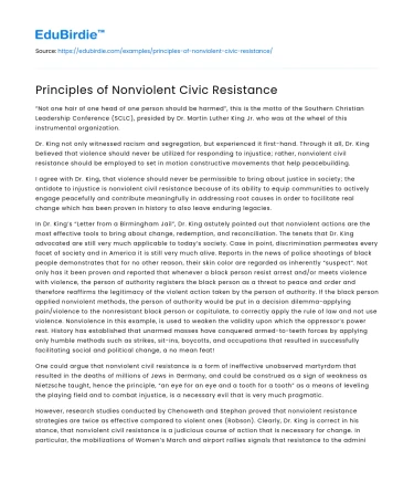 Principles of Nonviolent Civic Resistance