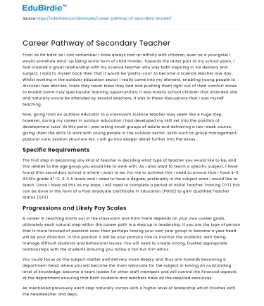 Career Pathway of Secondary Teacher