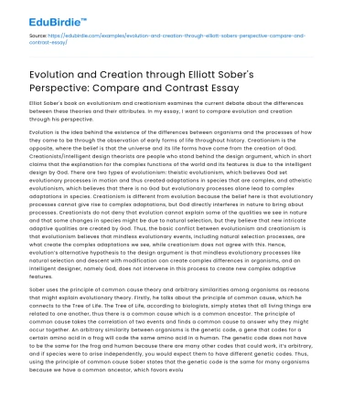 Compare and Contrast Essay: Evolution and Creation