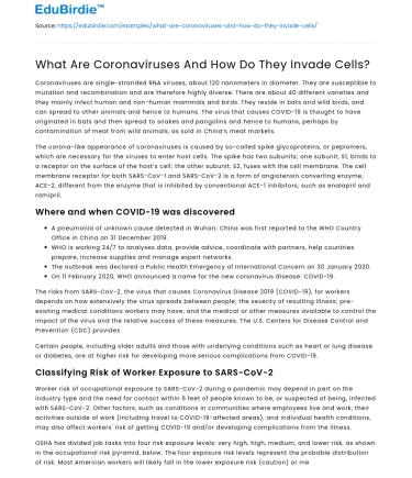What Are Coronaviruses And How Do They Invade Cells?