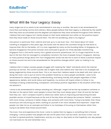 What Will Be Your Legacy: Essay