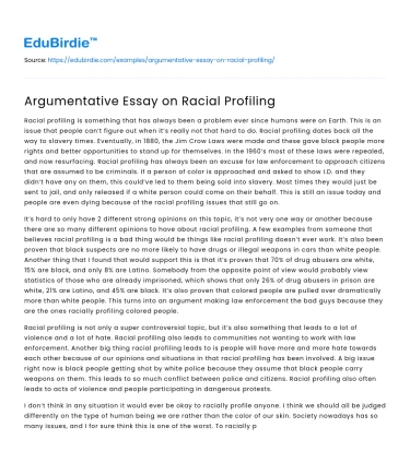 Argumentative Essay on Racial Profiling