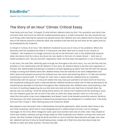 The Story of an Hour’ Climax: Critical Essay