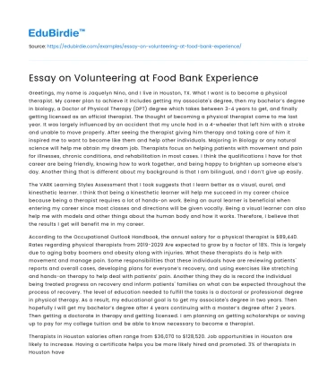 Essay on Volunteering at Food Bank Experience