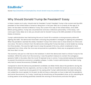 Why Should Donald Trump Be President? Essay