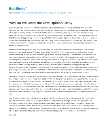 Why Do We Obey the Law: Opinion Essay