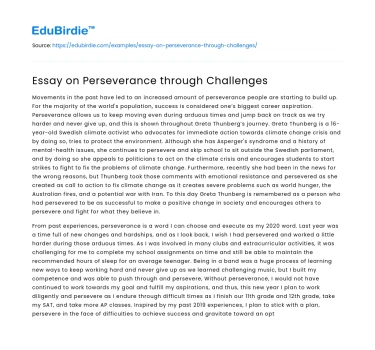 Essay on Perseverance through Challenges