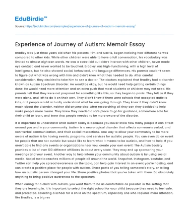 Experience of Journey of Autism: Memoir Essay
