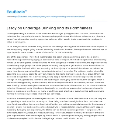Essay on Underage Drinking and Its Harmfulness