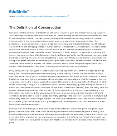 The Definition of Conservation