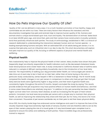 How Do Pets Improve Our Quality Of Life?