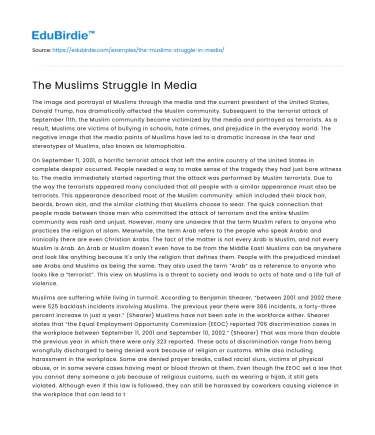 The Muslims Struggle In Media